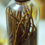 Dynastic Medicine: TCM's Evolution Through Ages